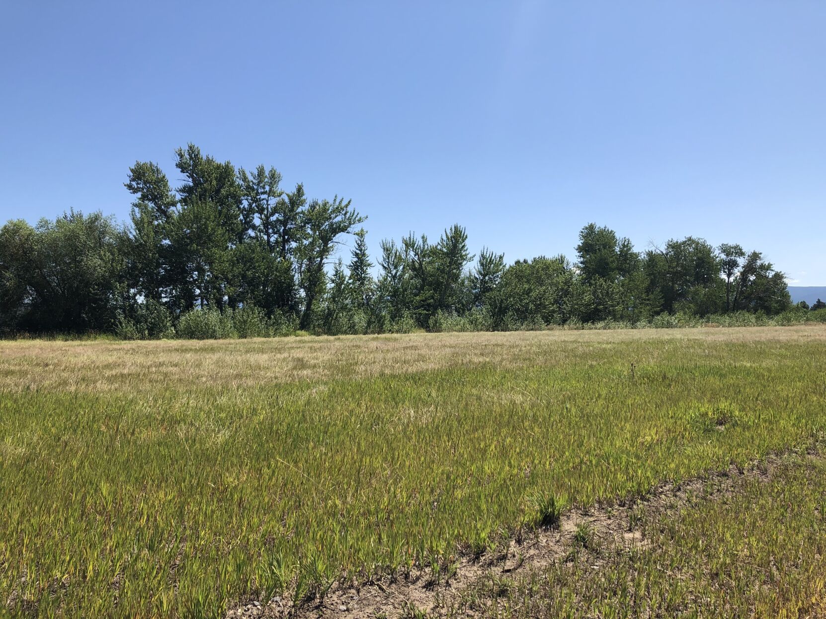 Triangle plan outlines future development for one of the fastest growing areas in Montana